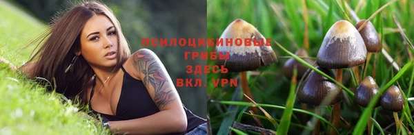 прущая мука Приозерск